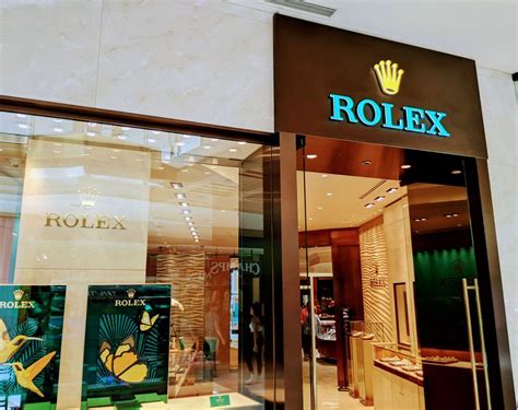 rolex dealers in tampa.